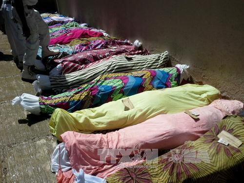 Nigeria Đánh bom khiến ít nhất 20 người thiệt mạng